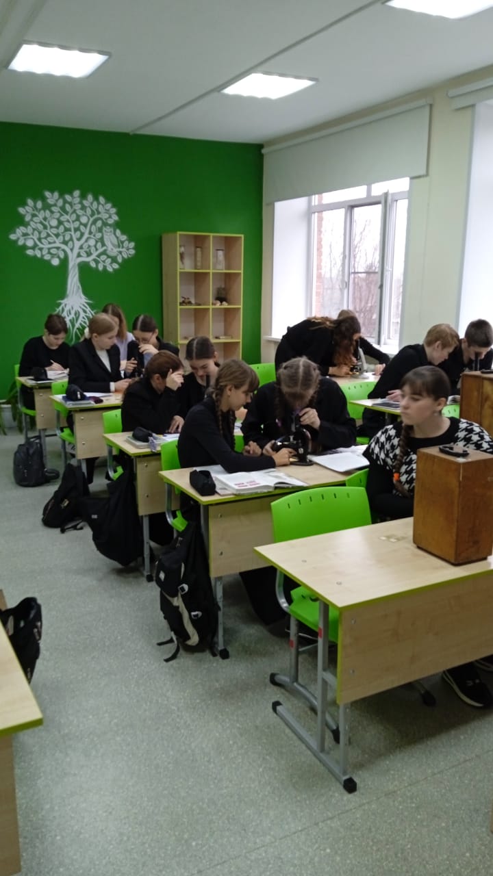 Изображение WhatsApp 2024-10-10 в 16.56.58_8394a002.jpg